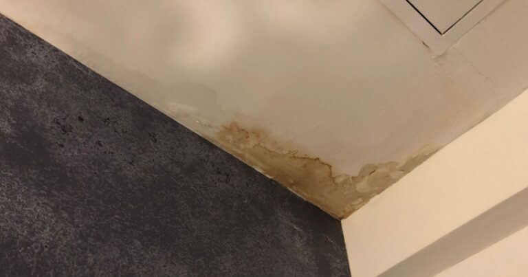 What Causes Roof Leaks—and How to Fix Them